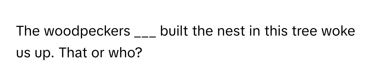 The woodpeckers ___ built the nest in this tree woke us up. That or who?