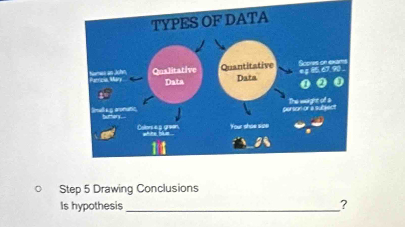 Step 5 Drawing Conclusions 
Is hypothesis _?