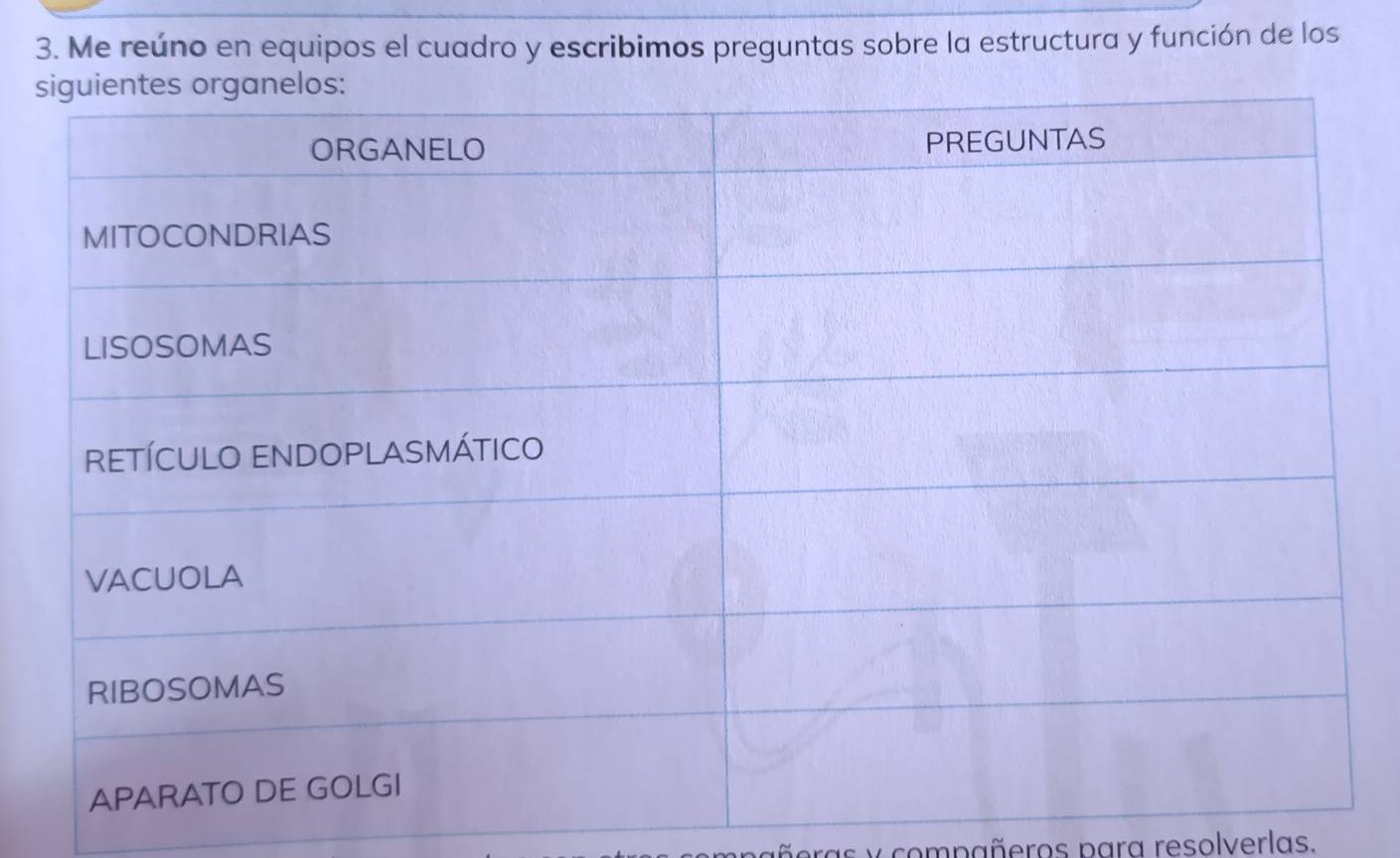 Me reúno en equipos el cuadro y escribimos preguntas sobre la estructura y función de los 
s 
ñeras y compañeros para resolverlas.