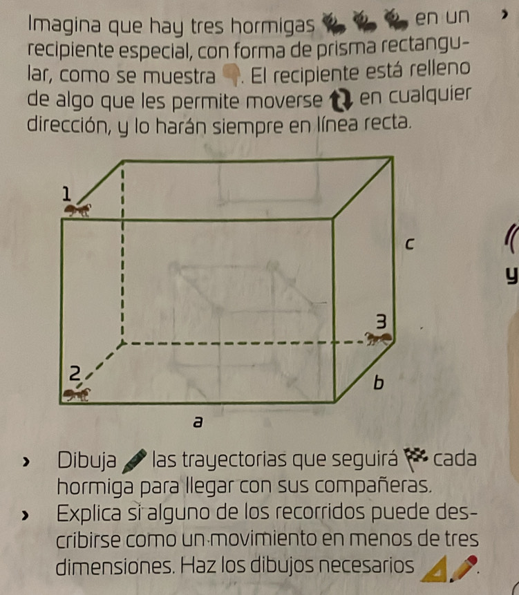 Imagina que hay tres hormigas en un 
recipiente especial, con forma de prisma rectangu- 
lar, como se muestra. El recipiente está relleno 
de algo que les permite moverse en cualquier 
dirección, y lo harán siempre en línea recta. 
y 
Dibuja las trayectorias que seguirá cada 
hormiga para llegar con sus compañeras. 
Explica si alguno de los recorridos puede des- 
cribirse como un movimiento en menos de tres 
dimensiones. Haz los dibujos necesarios