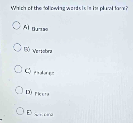 Which of the following words is in its plural form?
A)Bursae
B) Vertebra
C) Phalange
D) Pleura
E) Sarcoma