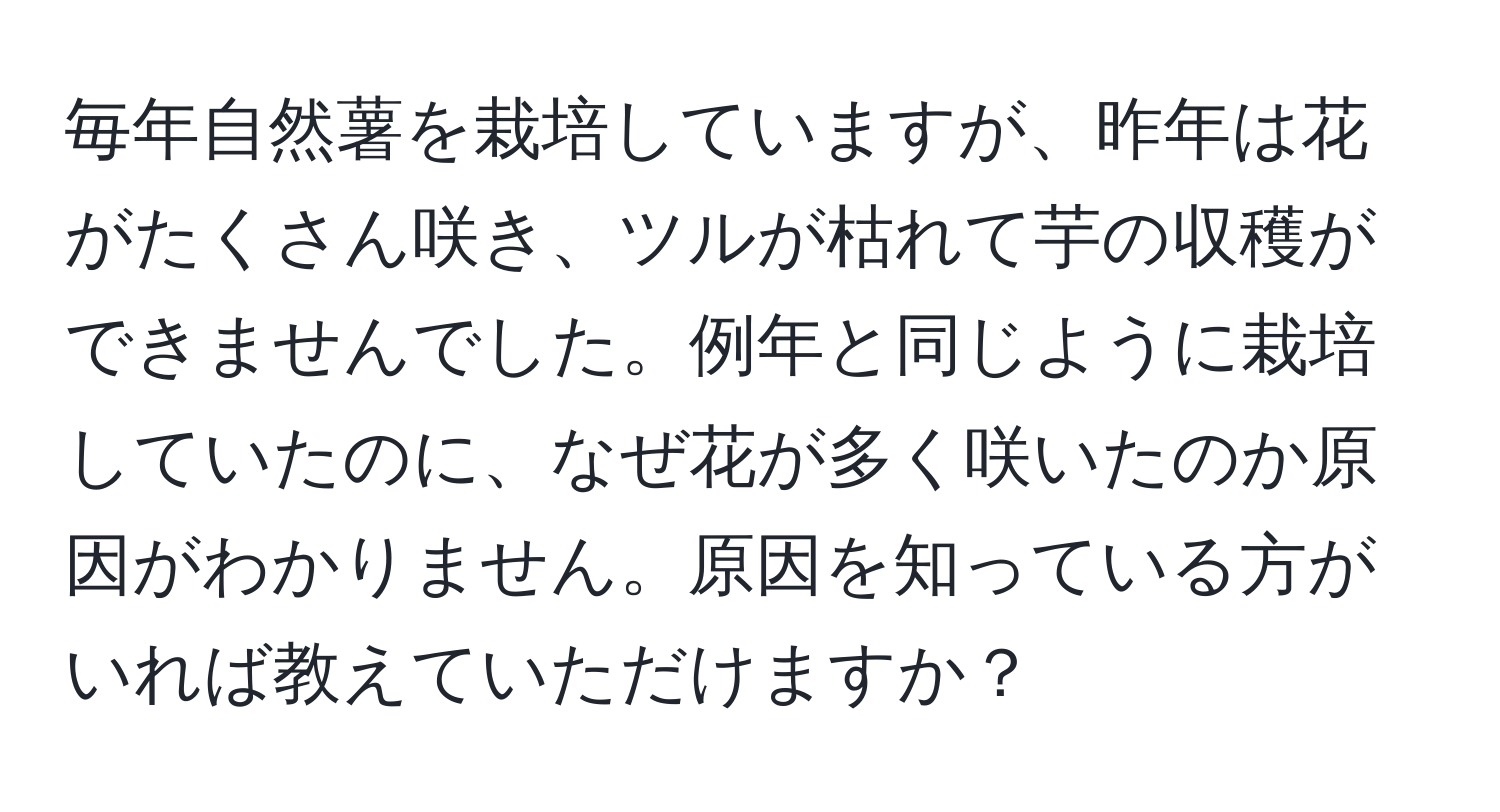 毎年自然薯を栽培していますが、昨年は花がたくさん咲き、ツルが枯れて芋の収穫ができませんでした。例年と同じように栽培していたのに、なぜ花が多く咲いたのか原因がわかりません。原因を知っている方がいれば教えていただけますか？