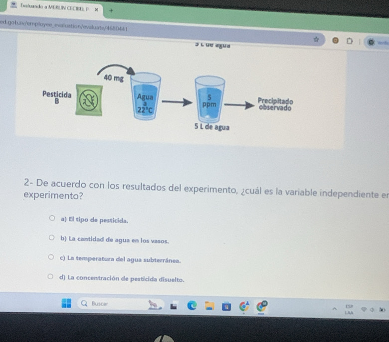 Evaluando a MERLIN CECIBEL I X +
ed.gob.sv/employee_evaluation/evaluate/4680441
ə L de agua
Veriti
2- De acuerdo con los resultados del experimento, ¿cuál es la variable independiente en
experimento?
a) El tipo de pesticida.
b) La cantidad de agua en los vasos.
c) La temperatura del agua subterránea.
d) La concentración de pesticida disuelto.
Buscar