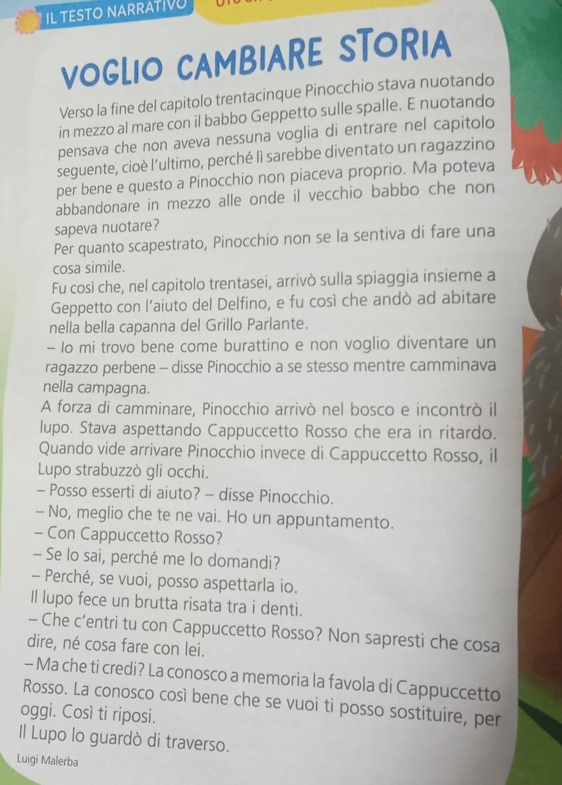 IL TESTO NARRATIV
VOGLIO CAMBIARE STORIA
Verso la fine del capitolo trentacinque Pinocchio stava nuotando
in mezzo al mare con il babbo Geppetto sulle spalle. E nuotando
pensava che non aveva nessuna voglia di entrare nel capitolo
seguente, cioè l'ultimo, perché lì sarebbe diventato un ragazzino
per bene e questo a Pinocchio non piaceva proprio. Ma poteva
abbandonare in mezzo alle onde il vecchio babbo che non
sapeva nuotare?
Per quanto scapestrato, Pinocchio non se la sentiva di fare una
cosa simile.
Fu così che, nel capitolo trentasei, arrivò sulla spiaggia insieme a
Geppetto con l’aiuto del Delfino, e fu così che andò ad abitare
nella bella capanna del Grillo Parlante.
- Io mi trovo bene come burattino e non voglio diventare un
ragazzo perbene - disse Pinocchio a se stesso mentre camminava
nella campagna.
A forza di camminare, Pinocchio arrivò nel bosco e incontrò il
lupo. Stava aspettando Cappuccetto Rosso che era in ritardo.
Quando vide arrivare Pinocchio invece di Cappuccetto Rosso, il
Lupo strabuzzò gli occhi.
- Posso esserti di aiuto? - disse Pinocchio.
- No, meglio che te ne vai. Ho un appuntamento.
- Con Cappuccetto Rosso?
- Se lo sai, perché me lo domandi?
- Perché, se vuoi, posso aspettarla io.
Il lupo fece un brutta risata tra i denti.
- Che c’entri tu con Cappuccetto Rosso? Non sapresti che cosa
dire, né cosa fare con lei.
- Ma che ti credi? La conosco a memoria la favola di Cappuccetto
Rosso. La conosco così bene che se vuoi ti posso sostituire, per
oggi. Così ti riposi.
Il Lupo lo guardò di traverso.
Luigi Malerba