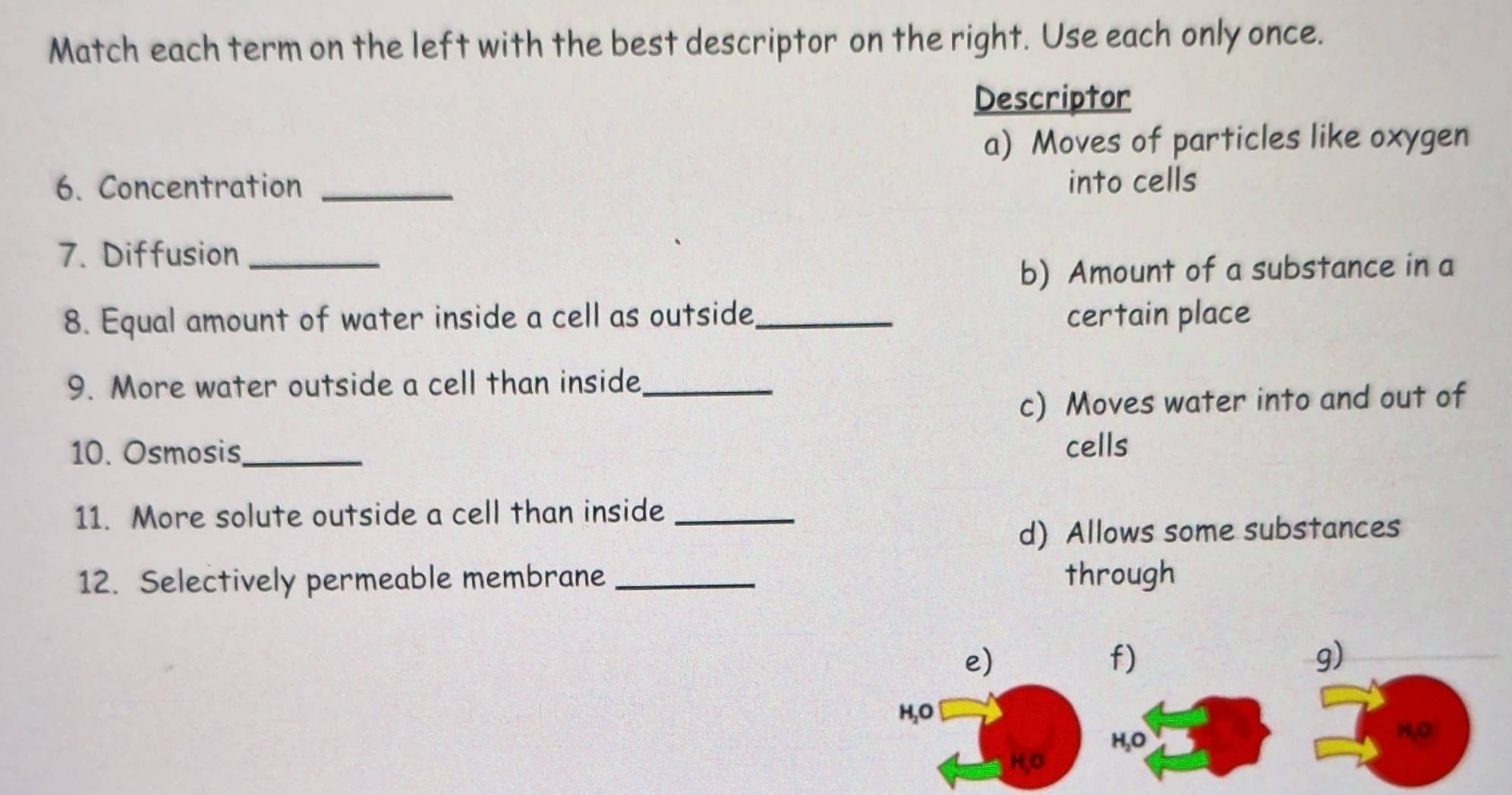 Match each term on the left with the best descriptor on the right. Use each only once.
Descriptor
a) Moves of particles like oxygen
6. Concentration _into cells
7. Diffusion_
b) Amount of a substance in a
8. Equal amount of water inside a cell as outside_ certain place
9. More water outside a cell than inside_
c) Moves water into and out of
10. Osmosis_ cells
11. More solute outside a cell than inside_
d) Allows some substances
12. Selectively permeable membrane _through
e)
f)
g)
H,O
H,O
1,0
HO