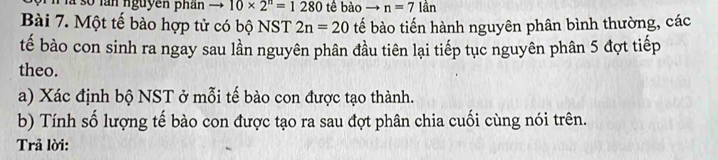 s0 ln nguyên phân 10* 2^n=1280 tế bào n=7lan
Bài 7. Một tế bào hợp tử có bộ NST 2n=20 tếể bào tiến hành nguyên phân bình thường, các 
tế bào con sinh ra ngay sau lần nguyên phân đầu tiên lại tiếp tục nguyên phân 5 đợt tiếp 
theo. 
a) Xác định bộ NST ở mỗi tế bào con được tạo thành. 
b) Tính số lượng tế bào con được tạo ra sau đợt phân chia cuối cùng nói trên. 
Trả lời: