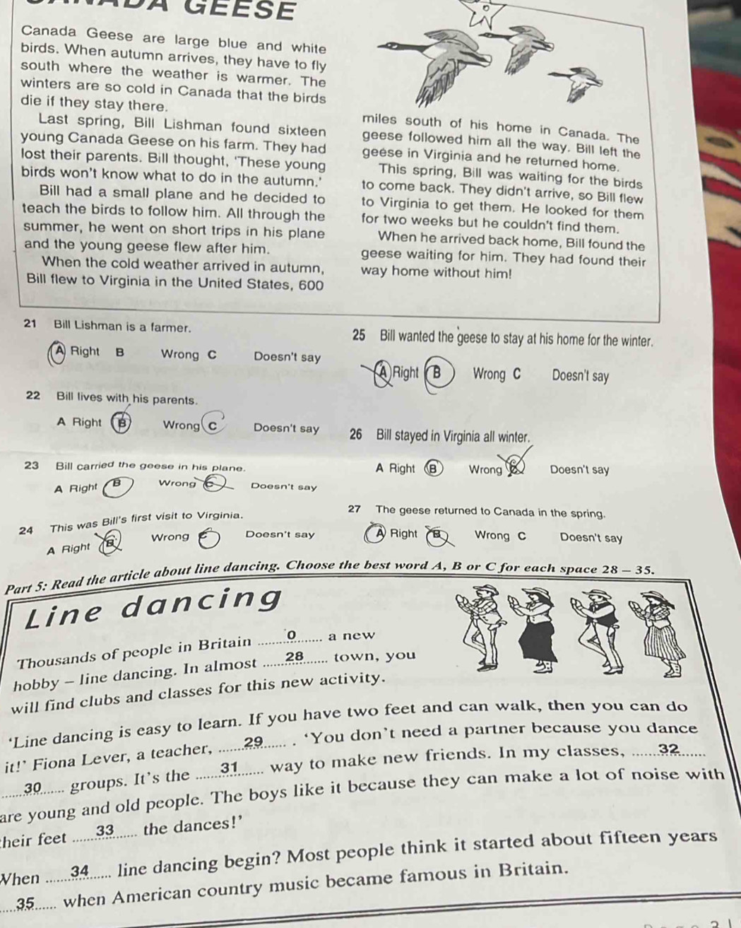 A GEESE
Canada Geese are large blue and white
birds. When autumn arrives, they have to fly
south where the weather is warmer. The
winters are so cold in Canada that the birds
die if they stay there.
ome in Canada. The
Last spring, Bill Lishman found sixteen geese followed him all the way. Bill left the
young Canada Geese on his farm. They had geese in Virginia and he returned home.
lost their parents. Bill thought, 'These young This spring, Bill was waiting for the birds
birds won't know what to do in the autumn.' to come back. They didn't arrive, so Bill flew
Bill had a small plane and he decided to to Virginia to get them. He looked for them
teach the birds to follow him. All through the for two weeks but he couldn't find them.
summer, he went on short trips in his plane When he arrived back home, Bill found the
and the young geese flew after him. geese waiting for him. They had found their
When the cold weather arrived in autumn, way home without him!
Bill flew to Virginia in the United States, 600
21 Bill Lishman is a farmer. 25 Bill wanted the geese to stay at his home for the winter.
A Right B Wrong C Doesn't say (A Right B Wrong C Doesn't say
22 Bill lives with his parents.
A Right B Wrong C Doesn't say 26 Bill stayed in Virginia all winter.
23 Bill carried the geese in his plane. A Right B Wrong Doesn't say
A Right B Wrong Doesn't say
24 This was Bill's first visit to Virginia.
27 The geese returned to Canada in the spring.
Wrong
A Right      Doesn't say À Right Wrong C Doesn't say
Part 5: Read the article about line dancing. Choose the best word A, B or C for each space 28 - 35.
Line dancing
Thousands of people in Britain ............... a new
hobby - line dancing. In almost .............. town, you
will find clubs and classes for this new activity.
‘Line dancing is easy to learn. If you have two feet and can walk, then you can do
it!’ Fiona Lever, a teacher, ......29...... . ‘You don’t need a partner because you dance
... 3....... groups. It's the ......1....... way to make new friends. In my classes, ......3......
are young and old people. The boys like it because they can make a lot of noise with
heir feet ......3...... the dances!'
When .......3..... line dancing begin? Most people think it started about fifteen years
....35..... when American country music became famous in Britain.