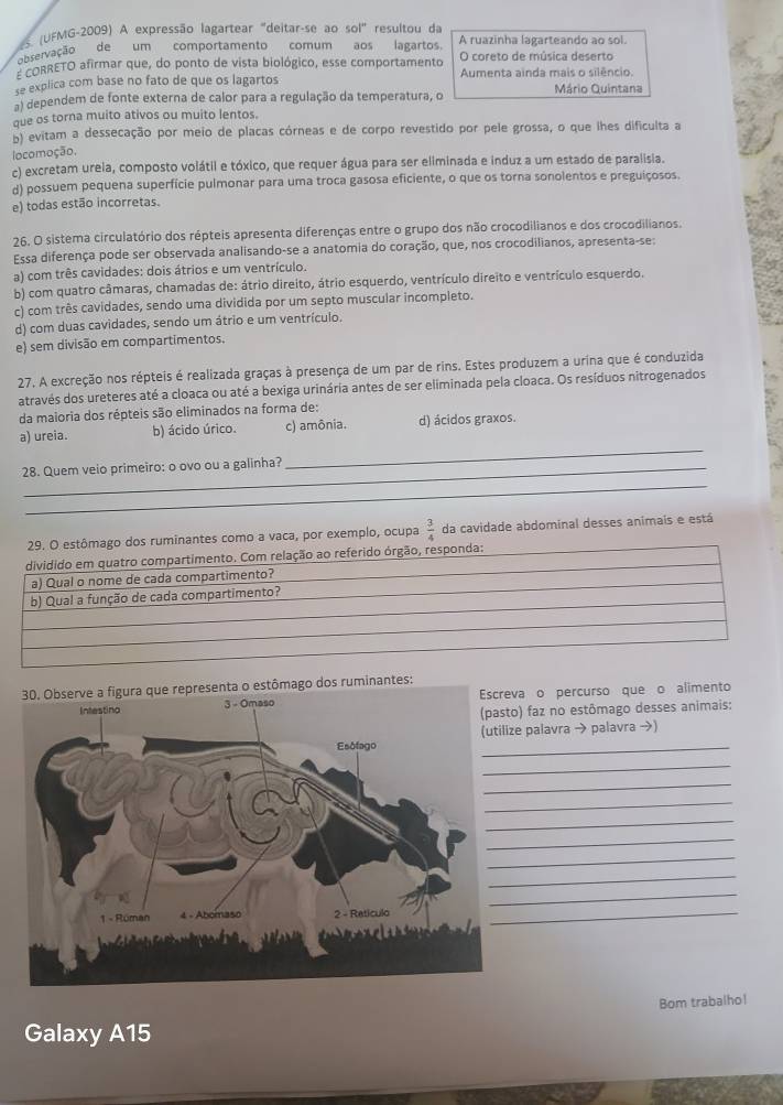 (UFMG-2009) A expressão lagartear "deitar-se ao sol" resultou da
servação de um comportamento comum aos lagartos. A ruazinha lagarteando ao sol.
E cORRETO afirmar que, do ponto de vista biológico, esse comportamento O coreto de música deserto
se explica com base no fato de que os lagartos Aumenta ainda mais o silêncio.
a) dependem de fonte externa de calor para a regulação da temperatura, o Mário Quintana
que os torna muito ativos ou muito lentos.
b) evitam a dessecação por meio de placas córneas e de corpo revestido por pele grossa, o que lhes dificulta a
locomoção.
c) excretam ureia, composto volátil e tóxico, que requer água para ser eliminada e induz a um estado de paralisia.
d) possuem pequena superfície pulmonar para uma troca gasosa eficiente, o que os torna sonolentos e preguiçosos.
e) todas estão incorretas.
26. O sistema circulatório dos répteis apresenta diferenças entre o grupo dos não crocodilianos e dos crocodilianos.
Essa diferença pode ser observada analisando-se a anatomia do coração, que, nos crocodilianos, apresenta-se:
a) com três cavidades: dois átrios e um ventrículo.
b) com quatro câmaras, chamadas de: átrio direito, átrio esquerdo, ventrículo direito e ventrículo esquerdo.
c) com três cavidades, sendo uma dividida por um septo muscular incompleto.
d) com duas cavidades, sendo um átrio e um ventrículo.
e) sem divisão em compartimentos.
27. A excreção nos répteis é realizada graças à presença de um par de rins. Estes produzem a urina que é conduzida
através dos ureteres até a cloaca ou até a bexiga urinária antes de ser eliminada pela cloaca. Os resíduos nitrogenados
da maioria dos répteis são eliminados na forma de:
a) ureia. b) ácido úrico. c) amônia. d) ácidos graxos
28. Quem veio primeiro: o ovo ou a galinha?
_
_
_
29. O estômago dos ruminantes como a vaca, por exemplo, ocupa  3/4  da cavidade abdominal desses animais e está
dividido em quatro compartimento. Com relação ao referido órgão, responda:
a) Qual o nome de cada compartimento?
b) Qual a função de cada compartimento?
estômago dos ruminantes:
a o percurso que o alimento
) faz no estômago desses animais:
e palavra → palavra →)
_
_
_
_
_
_
_
_
_
_
Bom trabalho!
Galaxy A15