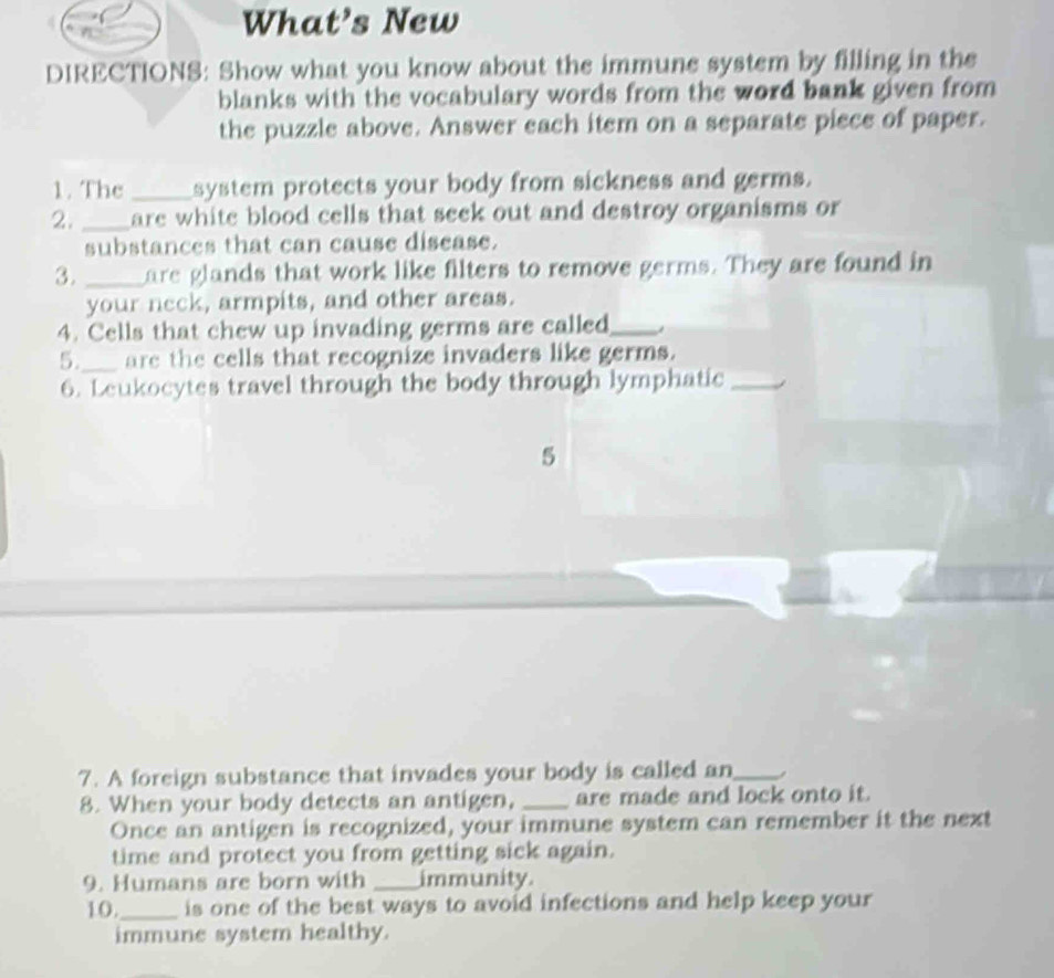 What’s New 
DIRECTIONS: Show what you know about the immune system by filling in the 
blanks with the vocabulary words from the word bank given from 
the puzzle above. Answer each item on a separate piece of paper. 
1. The _system protects your body from sickness and germs. 
2. _are white blood cells that seek out and destroy organisms or 
substances that can cause disease. 
3. _are glands that work like filters to remove germs. They are found in 
your neck, armpits, and other areas. 
4. Cells that chew up invading germs are called_ 
5._ are the cells that recognize invaders like germs. 
6. Leukocytes travel through the body through lymphatic_ 
5 
7. A foreign substance that invades your body is called an_ 
8. When your body detects an antigen, _are made and lock onto it. 
Once an antigen is recognized, your immune system can remember it the next 
time and protect you from getting sick again. 
9. Humans are born with _immunity. 
10._ is one of the best ways to avoid infections and help keep your 
immune system healthy.