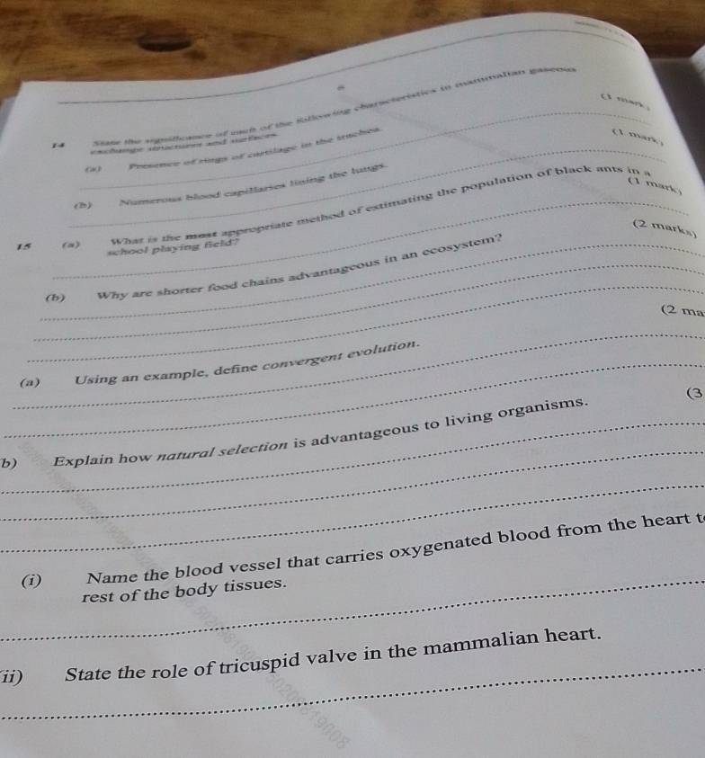 man 
14 _ sate the vigti ance of mh of the fatloring characteristics to mammation pasrd 
=Nchbe rötactsmes wnd ratlnce= 
_(a) Presence of rings of cartilage in the sruchea. 
(1 mark 
(1 mark) 
(h) Numerous blood capillaries lining the lungs. 
15 _(a) What is the most appropriate method of estimating the population of black ants in 
(2 marks) 
school playing field? 
_ 
_(b) Why are shorter food chains advantageous in an ecosystem? 
(2 ma 
_ 
_(a) Using an example, define convergent evolution. 
(3 
_ 
_b) Explain how natural selection is advantageous to living organisms. 
_ 
_ 
(i) Name the blood vessel that carries oxygenated blood from the heart t 
rest of the body tissues. 
_ 
ii) State the role of tricuspid valve in the mammalian heart.