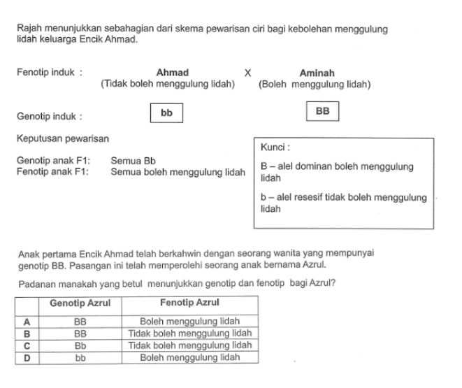 Rajah menunjukkan sebahagian dari skema pewarisan ciri bagi kebolehan menggulung
lidah keluarga Encik Ahmad.
Fenotip induk : Ahmad X Aminah
(Tidak boleh menggulung lidah) (Boleh menggulung lidah)
Genotip induk :
bb
BB
Keputusan pewarisan
Kunci :
Genotip anak F1: Semua Bb B - alel dominan boleh menggulung
Fenotip anak F1: Semua boleh menggulung lidah lidah
b - alel resesif tidak boleh menggulung
lidah
Anak pertama Encik Ahmad telah berkahwin dengan seorang wanita yang mempunyai
genotip BB. Pasangan ini telah memperolehi seorang anak bernama Azrul.
Padanan manakah yang betul menunjukkan genotip dan fenotip bagi Azrul?