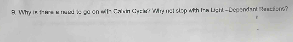 Why is there a need to go on with Calvin Cycle? Why not stop with the Light -Dependant Reactions?