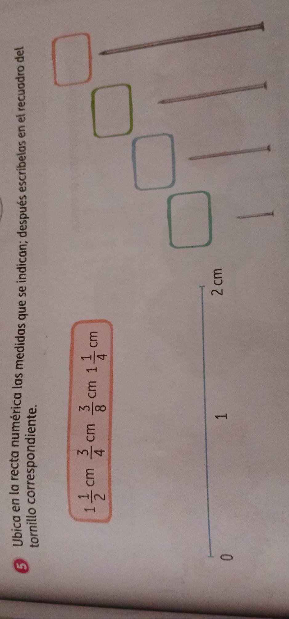 Ubica en la recta numérica las medidas que se indican; después escríbelas en el recuadro del 
tornillo correspondiente.
1 1/2 cm 3/4 cm 3/8 cm1 1/4 cm
0
1
2 cm