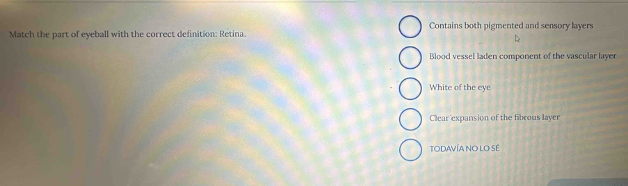 Contains both pigmented and sensory layers
Match the part of eyeball with the correct definition: Retina.
Blood vessel laden component of the vascular layer
White of the eye
Clear expansion of the fibrous layer
TODAVÍA NO LO SÉ
