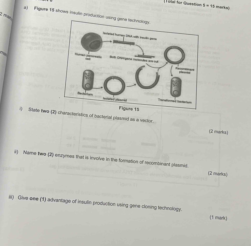 Total for Question 5=15 marks) 
a) Figure 15 shows insulin production using g 
2 mark 
man 
i) State two (2) characteristics of bacterial plasmid as a vector. 
(2 marks) 
ii) Name two (2) enzymes that is involve in the formation of recombinant plasmid. 
(2 marks) 
iii) Give one (1) advantage of insulin production using gene cloning technology. 
(1 mark)