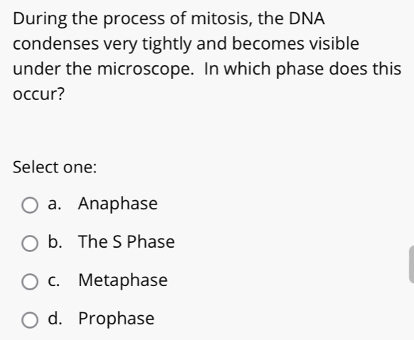 During the process of mitosis, the DNA
condenses very tightly and becomes visible
under the microscope. In which phase does this
occur?
Select one:
a. Anaphase
b. The S Phase
c. Metaphase
d. Prophase