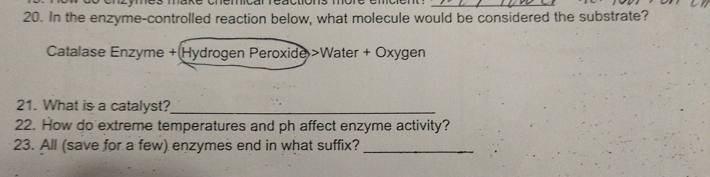 In the enzyme-controlled reaction below, what molecule would be considered the substrate? 
Catalase Enzyme + Hydrogen Peroxide >Water + Oxygen 
21. What is a catalyst?_ 
22. How do extreme temperatures and ph affect enzyme activity? 
23. All (save for a few) enzymes end in what suffix?_