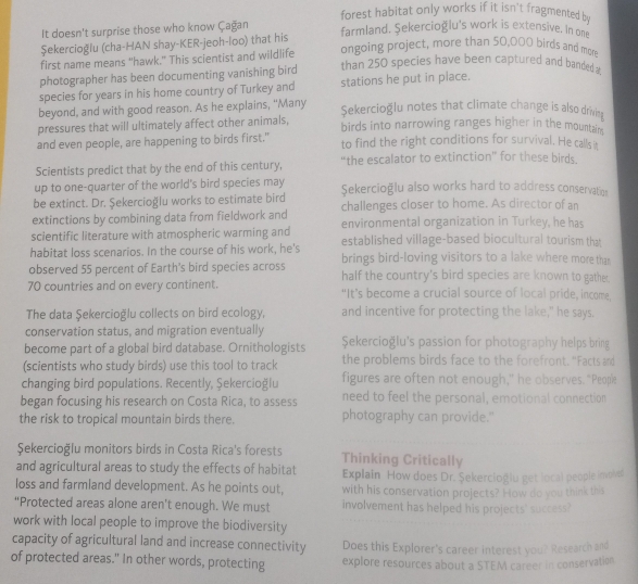 forest habitat only works if it isn't fragmented by
It doesn't surprise those who know Çağan
Şekercioğlu (cha-HAN shay-KER-jeoh-loo) that his farmland. Sekercioğlu's work is extensive. In one
first name means "hawk." This scientist and wildlife ongoing project, more than 50,000 birds and more
photographer has been documenting vanishing bird than 250 species have been captured and banded 
species for years in his home country of Turkey and stations he put in place.
beyond, and with good reason. As he explains, "Many $ekercioğlu notes that climate change is also drivin
pressures that will ultimately affect other animals, birds into narrowing ranges higher in the mountain .
and even people, are happening to birds first." to find the right conditions for survival. He calls it
Scientists predict that by the end of this century, “the escalator to extinction” for these birds.
up to one-quarter of the world's bird species may Şekercioğlu also works hard to address conservatins
be extinct. Dr. Şekercioğlu works to estimate bird challenges closer to home. As director of an
extinctions by combining data from fieldwork and environmental organization in Turkey, he has
scientific literature with atmospheric warming and established village-based biocultural tourism that
habitat loss scenarios. In the course of his work, he's brings bird-loving visitors to a lake where more than
observed 55 percent of Earth's bird species across half the country's bird species are known to gather.
70 countries and on every continent. “It’s become a crucial source of local pride, income,
The data Şekercioğlu collects on bird ecology, and incentive for protecting the lake," he says.
conservation status, and migration eventually
become part of a global bird database. Ornithologists Şekercioğlu's passion for photography helps bring
(scientists who study birds) use this tool to track the problems birds face to the forefront. "Facts and
changing bird populations. Recently, Şekercioğlu figures are often not enough," he observes. "People
began focusing his research on Costa Rica, to assess need to feel the personal, emotional connection
the risk to tropical mountain birds there. photography can provide."
Şekercioğlu monitors birds in Costa Rica's forests Thinking Critically
and agricultural areas to study the effects of habitat Explain How does Dr. Şekerciogiu get local people inove
loss and farmland development. As he points out, with his conservation projects? How do you think this
“Protected areas alone aren’t enough. We must involvement has helped his projects' success?
work with local people to improve the biodiversity
capacity of agricultural land and increase connectivity Does this Explorer's career interest you? Research and
of protected areas." In other words, protecting explore resources about a STEM career in conservation