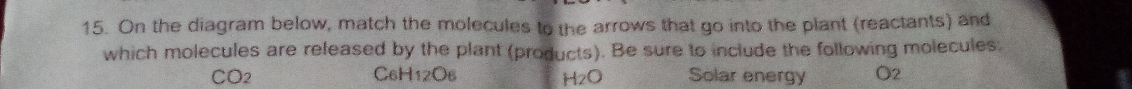 On the diagram below, match the molecules to the arrows that go into the plant (reactants) and 
which molecules are released by the plant (products). Be sure to include the following molecules:
CO_2 CoH _12O_6 H_2O Solar energy O2