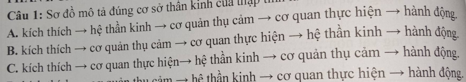 Sơ đồ mô tả đúng cơ sở thân kinh cua thập tì
A. kích thích → hệ thần kinh → cơ quản thụ cảm → cơ quan thực hiện → hành động.
B. kích thích → cơ quản thụ cảm → cơ quan thực hiện → hệ thần kinh → hành động.
C. kích thích → cơ quan thực hiện→ hệ thần kinh → cơ quản thụ cảm → hành động.
nthu hệ thần kinh → cơ quan thực hiện → hành động.