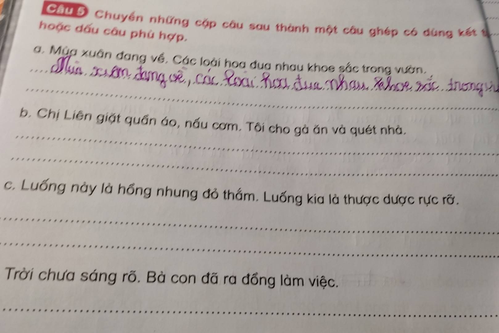 Câu ố Chuyền những cặp câu sau thành một câu ghép có dùng kết t 
hoặc dấu câu phù hợp. 
_ 
a, Mùa xuân đang về, Các loài hoa đua nhau khoe sắc trong vườn. 
_ 
_ 
b. Chị Liên giặt quần áo, nấu cơm. Tôi cho gà ăn và quét nhà. 
_ 
c. Luống này là hồng nhung đỏ thắm. Luống kia là thược dược rực rỡ. 
_ 
_ 
Trời chưa sáng rõ. Bà con đã ra đồng làm việc. 
_