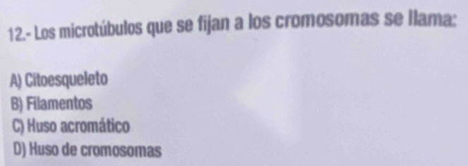 12.- Los microtúbulos que se fijan a los cromosomas se llama:
A) Citoesqueleto
B) Filamentos
C) Huso acromático
D) Huso de cromosomas