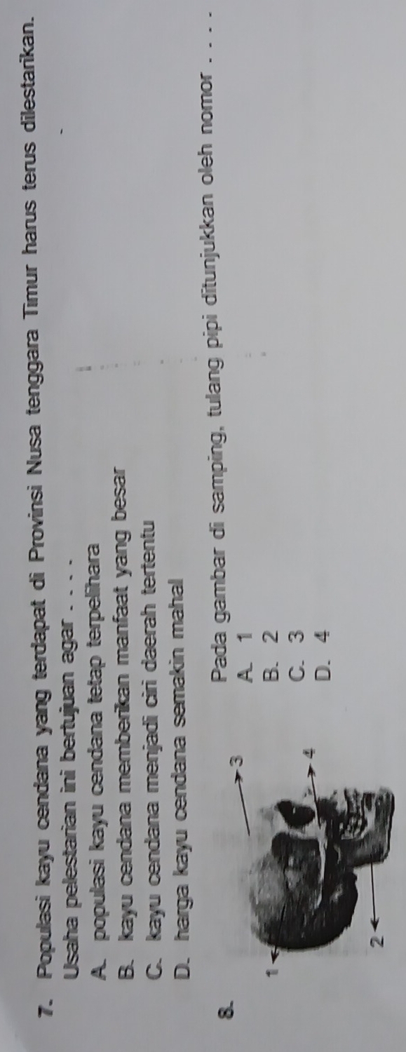 Populasi kayu cendana yang terdapat di Provinsi Nusa tenggara Timur harus terus dilestarikan.
Usaha pelestarian ini bertujuan agar . . . .
A. populasi kayu cendana tetap terpelihara
B. kayu cendana memberikan manfaat yang besar
C. kayu cendana menjadi ciri daerah tertentu
D. harga kayu cendana semakin mahal
8.
Pada gambar di samping, tulang pipi ditunjukkan oleh nomor . . . .
A 1
B. 2
C. 3
D. 4