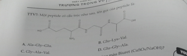 TRươNg TRọNg Tháy giao
TTV7: Một peptide có cấu trúc như sau, tên gọi của peptide là:
B.
A. Ala--Gly--Glu.
D. Glu-Gly-Ala
màu Biuret (CuSO₄/NaOH)?
C. Gly-Ala-Val. vo