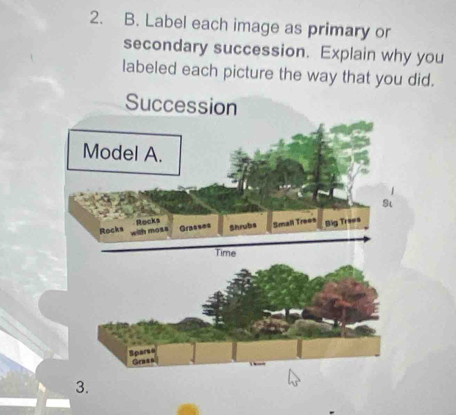 Label each image as primary or 
secondary succession. Explain why you 
labeled each picture the way that you did. 
3.