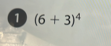 1 (6+3)^4