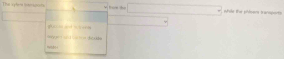 The xylem transports from the while the phloem transports
glucos and nutrients
oxygen and carbon diaxide
Water
