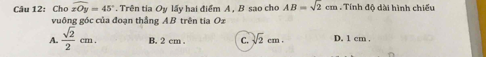 Cho widehat xOy=45°. Trên tia Oy lấy hai điểm A , B sao cho AB=sqrt(2)cm. Tính đô dài hình chiếu
vuông góc của đoạn thẳng AB trên tia Ox
A.  sqrt(2)/2 cm. D. 1 cm.
B. 2 cm. C. sqrt(2)cm.