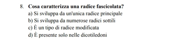 Cosa caratterizza una radice fascicolata?
a) Si sviluppa da un'unica radice principale
b) Si sviluppa da numerose radici sottili
c) É un tipo di radice modificata
d) È presente solo nelle dicotiledoni