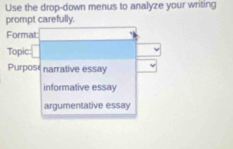 Use the drop-down menus to analyze your writing 
prompt carefully. 
Format: 
Topic: 
Purpose narrative essay 
informative essay 
argumentative essay