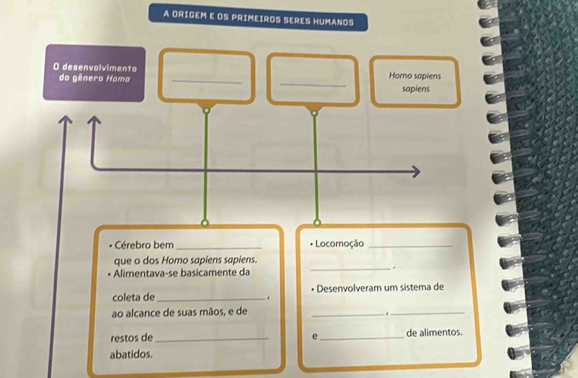 A ORIGEM E OS PRIMEIROS SERES HUMANOS 
_ 
O desenvolvimento Homo sapiens 
do gênero Homo_ 
sapiens 
Cérebro bem _* Locomoção_ 
que o dos Homo sapiens sapiens. 
• Alimentava-se basicamente da 
_. 
coleta de_ Desenvolveram um sistema de 
ao alcance de suas mãos, e de 
_ 
_. 
restos de _e _de alimentos. 
abatidos.