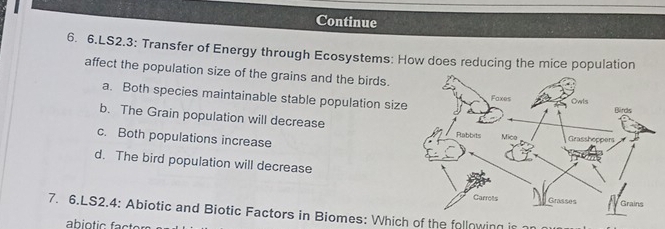 Continue
6. 6.LS2.3: Transfer of Energy through Ecosystems: How does reducing the mice population
affect the population size of the grains and the birds.
a. Both species maintainable stable population size
b. The Grain population will decrease
c. Both populations increase
d. The bird population will decrease
7. 6.LS2.4: Abiotic and Biotic Factors in Biomes: Which of the following i
abiotic fact