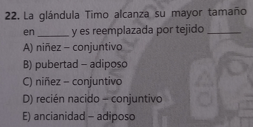 La glándula Timo alcanza su mayor tamaño
en _y es reemplazada por tejido_
A) niñez - conjuntivo
B) pubertad - adiposo
C) niñez - conjuntivo
D) recién nacido - conjuntivo
E) ancianidad - adiposo