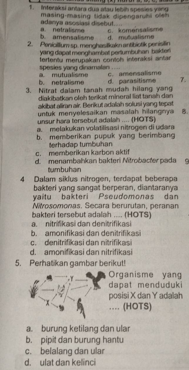 Interaksi antara dua atau lebih spesies yang
masing-masing tidak dipengaruhi oleh
adanya asosiasi disebut....
a. netralisme c. komensalisme
b. amensalisme d. mutualisme
2. Penicillium sp. menghasilkakn antibiotik penisilin
yang dapat menghambat pertumbuhan bakter
tertentu merupakan contoh interaksi antar
spesies yang dinamalan ....
a. mutualisme c. amensalisme
b. netralisme d. parasitisme 7.
3. Nitrat dalam tanah mudah hilang yang
diakibatkan oleh terikat mineral liat tanah dan
akibat aliran air. Berikut adalah solusi yang tepat
untuk menyelesaikan masalah hilangnya 8.
unsur hara tersebut adalah .... (HOTS)
a. melakukan volatilisasi nitrogen di udara
b. memberikan pupuk yang berimbang
terhadap tumbuhan
c. memberikan karbon aktif
d. menambahkan bakteri Nitrobacter pada g
tumbuhan
4 Dalam siklus nitrogen, terdapat beberapa
bakteri yang sangat berperan, diantaranya
yaitu bakteri Pseudomonas dan
Nitrosomonas. Secara berurutan, peranan
bakteri tersebut adalah .... (HOTS)
a. nitrifikasi dan denitrifikasi
b. amonifikasi dan denitrifikasi
c. denitrifikasi dan nitrifikasi
d. amonifikasi dan nitrifikasi
5. Perhatikan gambar berikut!
Organisme yang
dapat menduduki
posisi X dan Y adalah
… (HOTS)
a. burung ketilang dan ular
b. pipit dan burung hantu
c. belalang dan ular
d. ulat dan kelinci