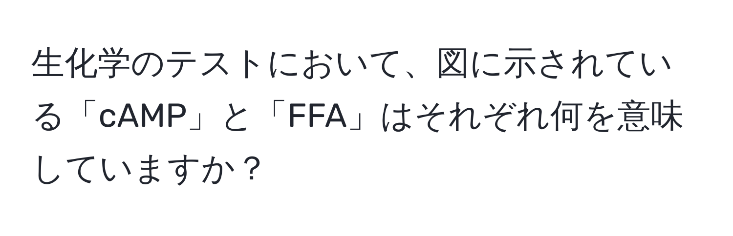 生化学のテストにおいて、図に示されている「cAMP」と「FFA」はそれぞれ何を意味していますか？