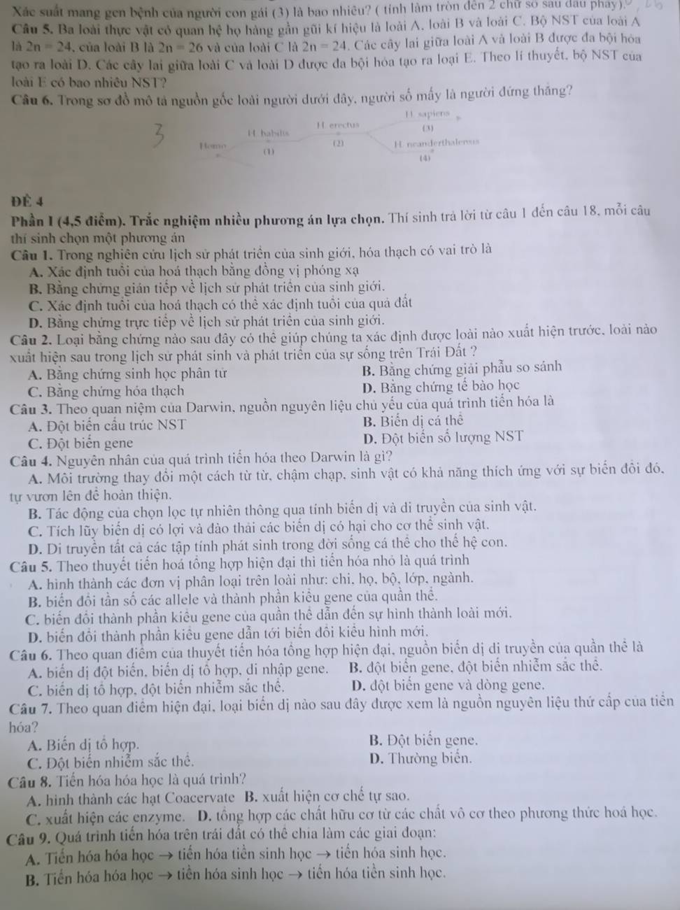 Xác suất mang gen bệnh của người con gái (3) là bao nhiêu? ( tỉnh làm tròn đên 2 chữ số sau dau phay)
Câu 5. Ba loài thực vật cỏ quan hhat c họ hàng gần gũi kí hiệu là loài A, loài B và loài C. Bộ NST của loài A
là 2n=24 , của loài B là 2n=26 và của loài C là 2n=24. Các cây lai giữa loài A và loài B được đa bội hóa
tạao ra loài D. Các cây lai giữa loài C và loài D được đa bội hóa tạo ra loại E. Theo lí thuyết, bộ NST của
loài E có bao nhiêu NST?
Câu 6. Trong sơ đồ mô tả nguồn gốc loài người dưới đây, người số mấy là người đứng thăng?
H sapiens
H habil(s H erectus
(3)
(2) H ncanderthalerus
Homo (1)
(4)°
Đè 4
Phần I (4,5 điễm). Trắc nghiệm nhiều phương án lựa chọn. Thí sinh trả lời từ câu 1 đến câu 18, mỗi câu
thí sinh chọn một phương án
Câu 1. Trong nghiên cứu lịch sử phát triển của sinh giới, hóa thạch có vai trò là
A. Xác định tuổi của hoá thạch bằng đồng vị phóng xạ
B. Bằng chứng gián tiếp về lịch sử phát triển của sinh giới.
C. Xác định tuổi của hoá thạch có thể xác định tuổi của quả đất
D. Bằng chứng trực tiếp về lịch sử phát triển của sinh giới.
Câu 2. Loại bằng chứng nào sau đây có thể giúp chúng ta xác định được loài nào xuất hiện trước, loài nào
xuất hiện sau trong lịch sử phát sinh và phát triển của sự sống trên Trái Đất ?
A. Bằng chứng sinh học phân tử B. Bằng chứng giải phẫu so sánh
C. Bằng chứng hóa thạch D. Bằng chứng tế bào học
Câu 3. Theo quan niệm của Darwin, nguồn nguyên liệu chủ yếu của quá trình tiến hóa là
A. Đột biển cầu trúc NST B. Biển dị cá thể
C. Đột biển gene D. Đột biển số lượng NST
Câu 4. Nguyên nhân của quá trình tiến hóa theo Darwin là gì?
A. Môi trường thay đổi một cách từ từ, chậm chạp, sinh vật có khả năng thích ứng với sự biến đôi đó.
tự vươn lên đề hoàn thiện.
B. Tác động của chọn lọc tự nhiên thông qua tính biến dị và di truyền của sinh vật.
C. Tích lũy biến dị có lợi và đào thải các biến dị có hại cho cơ thể sinh vật.
D. Di truyền tất cả các tập tính phát sinh trong đời sống cá thể cho thể hệ con.
Câu 5. Theo thuyết tiển hoá tổng hợp hiện đại thì tiển hóa nhỏ là quá trình
A. hình thành các đơn vị phân loại trên loài như: chi, họ, bộ, lớp, ngành.
B. biển đổi tần số các allele và thành phần kiều gene của quần thể.
C. biến đổi thành phần kiêu gene của quần thể dẫn đến sự hình thành loài mới.
D. biển đôi thành phần kiêu gene dẫn tới biển dôi kiểu hình mới.
Câu 6. Theo quan điểm của thuyết tiến hóa tổng hợp hiện đại, nguồn biển dị di truyền của quần thể là
A. biển dị đột biển, biển dị tô hợp, di nhập gene. B. đột biển gene, đột biển nhiễm sắc thể.
C. biển dị tổ hợp, đột biển nhiễm sắc thể. D. đột biển gene và dòng gene.
Câu 7. Theo quan điểm hiện đại, loại biển dị nào sau dây được xem là nguồn nguyên liệu thứ cấp của tiền
hóa?
A. Biến dị tổ hợp. B. Đột biến gene.
C. Đột biến nhiễm sắc thê. D. Thường biển.
Câu 8. Tiền hóa hóa học là quá trình?
A. hình thành các hạt Coacervate B. xuất hiện cơ chế tự sao.
C. xuất hiện các enzyme. D. tổng hợp các chất hữu cơ từ các chất vô cơ theo phương thức hoá học.
Câu 9. Quá trình tiền hóa trên trái đất có thể chia làm các giai đoạn:
A. Tiến hóa hóa học → tiến hóa tiền sinh học → tiến hóa sinh học.
B. Tiến hóa hóa học → tiền hóa sinh học → tiến hóa tiền sinh học.