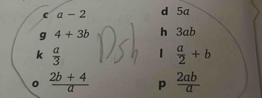 a-2
d 5a
g 4+3b
h 3ab
k  a/3 
1  a/2 +b
 (2b+4)/a 
p  2ab/a 