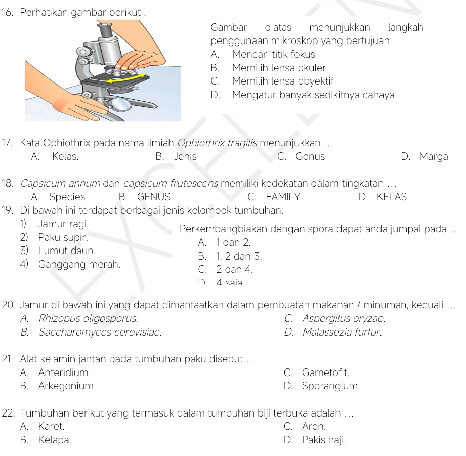 Perhatikan gambar berikut !
Gambar diatas menunjukkan langkah
penggunaan mikroskop yang bertujuan:
A. Mencari titik fokus
B. Memilih lensa okuler
C. Memilih lensa obyektif
D. Mengatur banyak sedikitnya cahaya
17. Kata Ophiothrix pada nama ilmiah Ophiothrix fragilis menunjukkan …
A. Kelas. B. Jenis C. Genus D. Marga
18. Capsicum annum dan capsicum frutescens memiliki kedekatan dalam tingkatan …
A. Species B. GENUS C. FAMILY D. KELAS
19. Di bawah ini terdapat berbagai jenis kelompok tumbuhan.
1) Jamur ragi.
Perkembangbiakan dengan spora dapat anda jumpai pada ...
2) Paku supir. A. 1 dan 2.
3) Lumut daun.
B. 1, 2 dan 3.
4) Ganggang merah. C. 2 dan 4.
D 4 saia
20. Jamur di bawah ini yang dapat dimanfaatkan dalam pembuatan makanan / minuman, kecuali ...
A. Rhizopus oligosporus. C. Aspergilus oryzae.
B. Saccharomyces cerevisiae. D. Malassezia furfur.
21. Alat kelamin jantan pada tumbuhan paku disebut ….
A. Anteridium. C. Gametofit.
B. Arkegonium. D. Sporangium.
22. Tumbuhan berikut yang termasuk dalam tumbuhan biji terbuka adalah …
A. Karet. C. Aren.
B. Kelapa. D. Pakis haji.