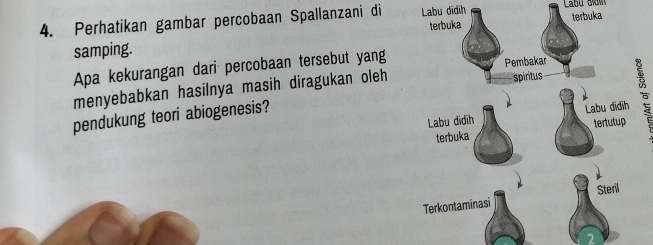 Perhatikan gambar percobaan Spallanzani di Labu dīdih 
samping. 
Apa kekurangan dari percobaan tersebut yang 
menyebabkan hasilnya masih diragukan oleh 
pendukung teori abiogenesis?