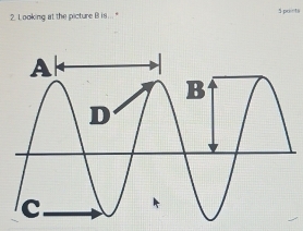 Looking at the picture B is..." 5 poir1s