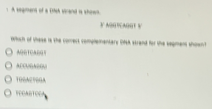 A segment of a DNA strand is shown.
3' AGGTCAGGT 5¹
Which of these is the correct complementary DNA strand for the segment shown?
AGGTCAGGT
ACCUGAGGU
TGGACTGGA
TECARTECA