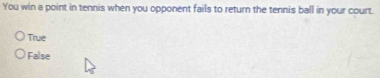 You win a point in tennis when you opponent fails to return the tennis ball in your court.
True
False