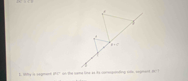 DC≌ CB
1. Why is segment B'C' on the same line as its corresponding side, segment BC?