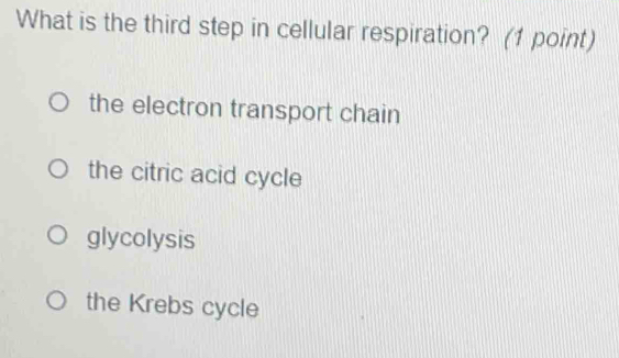 What is the third step in cellular respiration? (1 point)
the electron transport chain
the citric acid cycle
glycolysis
the Krebs cycle