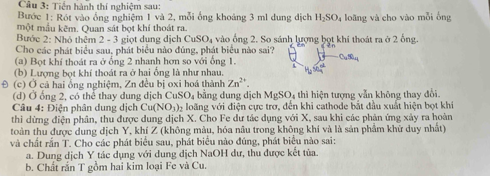 Tiến hành thí nghiệm sau: 
Bước 1: Rót vào ống nghiệm 1 và 2, mỗi ống khoảng 3 ml dung dịch H_2SO_4 loãng và cho vào mỗi ống 
một mẫu kẽm. Quan sát bọt khí thoát ra. 
Bước 2: Nhỏ thêm 2 - 3 giọt dụng dịch CuSO_4 vào ống 2. So sánh lượng bọt khí thoát ra ở 2 ống. 
Cho các phát biểu sau, phát biểu nào dúng, phát biểu nào sai? 
(a) Bọt khí thoát ra ở ống 2 nhanh hơn so với ống 1.
CuS0_4
4 
(b) Lượng bọt khí thoát ra ở hai ống là như nhau. 
Đ (c) Ở cả hai ống nghiệm, Zn đều bị oxi hoá thành Zn^(2+). 
(d) Ở ống 2, có thể thay dung dịch CuSO_4 bằng dung dịch MgSO_4 thì hiện tượng vẫn không thay đổi. 
Câu 4: Điện phân dung dịch Cu(NO_3)_2 loãng với điện cực trơ, đến khi cathode bắt đầu xuất hiện bọt khí 
thì dừng điện phân, thu được dung dịch X. Cho Fe dư tác dụng với X, sau khi các phản ứng xảy ra hoàn 
toàn thu được dung dịch Y, khí Z (không màu, hóa nâu trong không khí và là sản phầm khử duy nhất) 
và chất rắn T. Cho các phát biểu sau, phát biểu nào đúng, phát biều nào sai: 
a. Dung dịch Y tác dụng với dung dịch NaOH dư, thu được kết tủa. 
b. Chất rắn T gồm hai kim loại Fe và Cu.