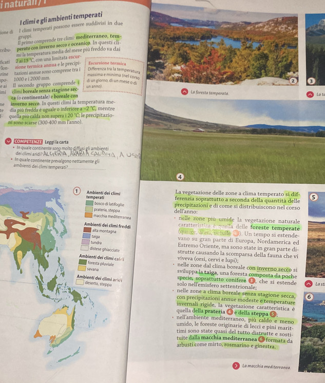 natural  
I climi e gli ambienti temperati
ione di l climi temperati possono essere suddivisi in due
gruppi.
Il primo comprende tre climi: mediterraneo, tem-
perato con inverno secco e oceanico. In questi cli
tribu- mi la temperatura media del mese più freddo va dar
/lon- sione termica annua e le precipi- 2ai15°C , con un a limitata escur-
ficati Escursione termica
rine tazioni annue sono comprese tra i Differenza tra la temperatura
massima e minima (nel corso
spo- 1000 e i 2000 mm.
e ai Il secondo gruppo comprende i
di un giorno, di un mese o di
imi  climi boreale senza stagione sec un anno).
ca (o continentale) e boreale con La t
he inverno secco. In questí climi la temperatura me-
tedia piú fredda é uguale o inferiore a -2°C, mentre
quella più calda non supera i20°C; le precipitazio
ni sono scarse (300-400 mm l'anno).
COMPETENZE Leggi la carta
In quale continente sono molto diffusi gli ambienti
dei climi aridi?
In quale continente prevalgono nettamente gli
ambienti dei climi temperati?
④
1 Ambienti dei climi La vegetazione delle zone a clima temperato si dif-
temperati ferenzia soprattutto a seconda della quantità delle
bosco di latifoglie precipitazioni e di come si distribuiscono nel corso
prateria, steppa dell'anno:
macchia mediterranea nelle zone più umide la vegetazione naturale
caratteristica é quella delle foreste temperate
Ambienti dei climi freddi (qurce, ateri, betuile 3). Un tempo si estende-
alta montagna
taiga vano su gran parte di Europa, Nordamerica ed
tundka Estremo Oriente, ma sono state in gran parte di-
distese ghiacciate strutte causando la scomparsa della fauna che vi
Ambienti dei climi caldl viveva (orsi, cervi e lupi);
foresta pluviale nelle zone dal clima boreale con inverno secco si
savana sviluppa la taiga, una foresta composta da poche
Ambienti   i cim r deserto, steppa
specie, soprattutto conifere ③, che si estende La st
solo nell’emisfero settentrionale;
nelle zone a clima boreale senza stagione secca. 6
con precipitazioni annue modeste e temperature
invernali rigide, la vegetazione caratteristica è
quella della prateria ❹ e della steppa 5;
nell'ambiente mediterraneo, più caldo e meno
umido, le foreste originarie di lecci e pini marit-
timi sono state quasi del tutto distrutte e sosti-
tuite dalla macchia mediterranea 3 formata da
arbusti come mirto, rosmarino e ginestra.
La macchia mediterranea.